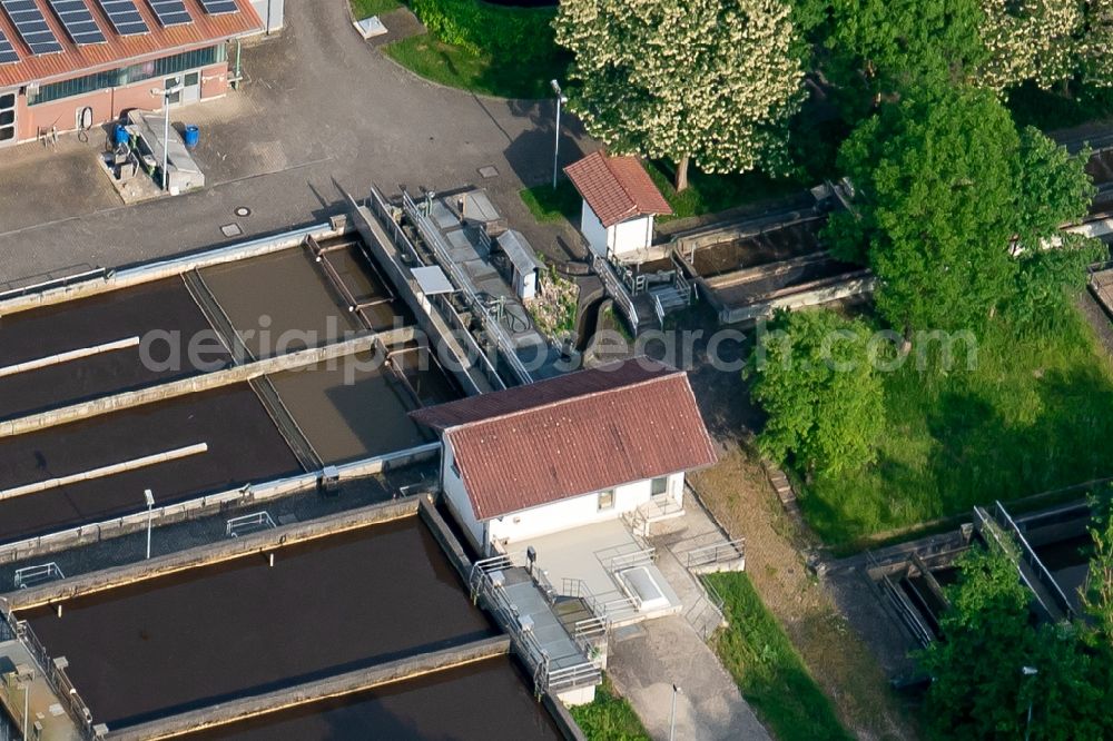 Aerial photograph Kappel-Grafenhausen - Sewage works Basin and purification steps for waste water treatment suedliche Ortenau in Ellenbogenwald bei in Kappel-Grafenhausen in the state Baden-Wuerttemberg, Germany