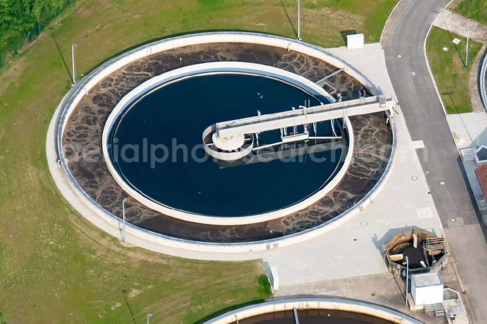 Kappel-Grafenhausen from the bird's eye view: Sewage works Basin and purification steps for waste water treatment suedliche Ortenau in Ellenbogenwald bei in Kappel-Grafenhausen in the state Baden-Wuerttemberg, Germany