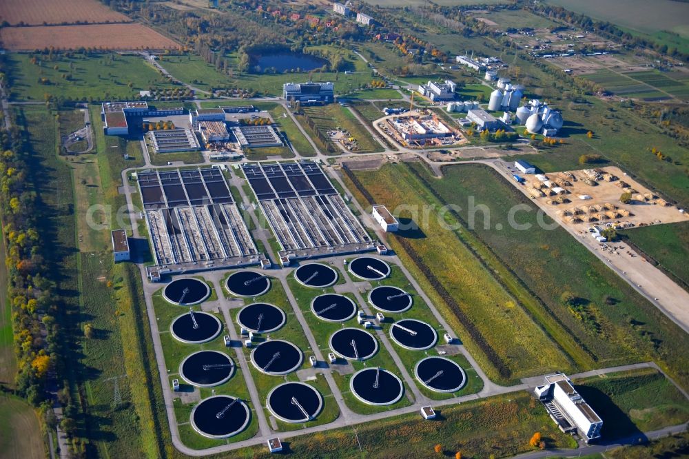 Aerial image Waßmannsdorf - New construction site and extension of the sewage treatment basins and purification stages Berliner Wasserbetriebe Klaerwerk Wassmannsdorf in Wassmannsdorf in the state Brandenburg, Germany
