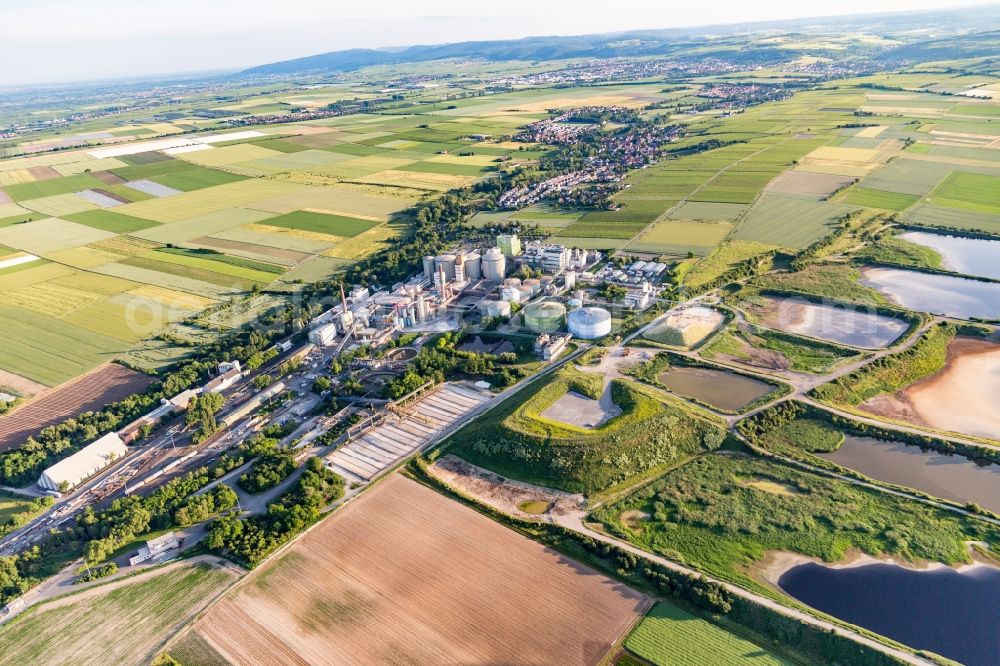 Obrigheim (Pfalz) from the bird's eye view: Sewage works Basin for waste water treatment of sugar factory Suedzucker AG in Obrigheim (Pfalz) in the state Rhineland-Palatinate, Germany