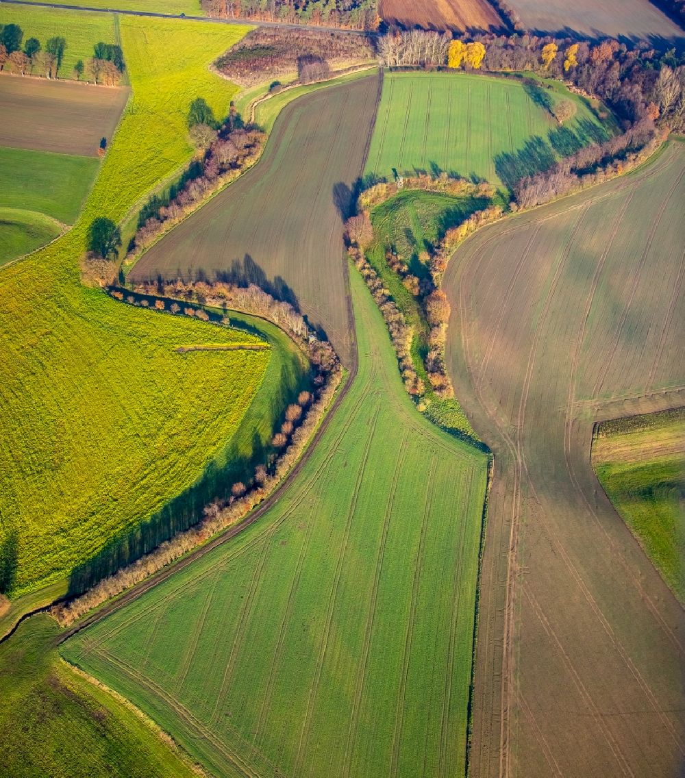 Aerial photograph Haltern am See - Grassland structures of a meadow and field landscape in the lowland on river shore of Lippe in Haltern am See in the state North Rhine-Westphalia, Germany