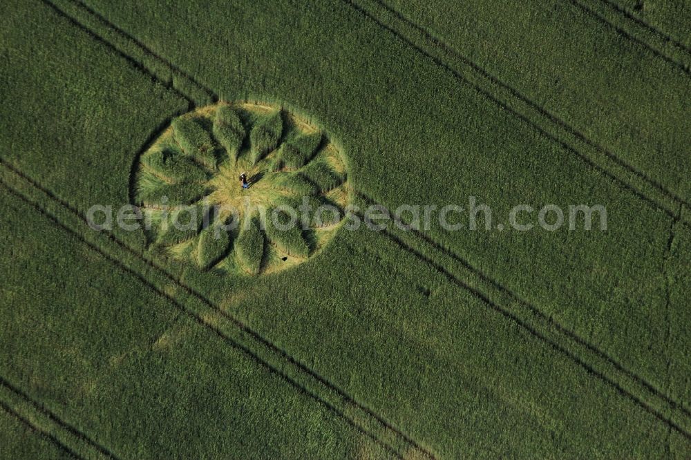 Aerial image Schönefeld - Grain field structures of a grain circle in the district Grossziethen in Schoenefeld in the state Brandenburg
