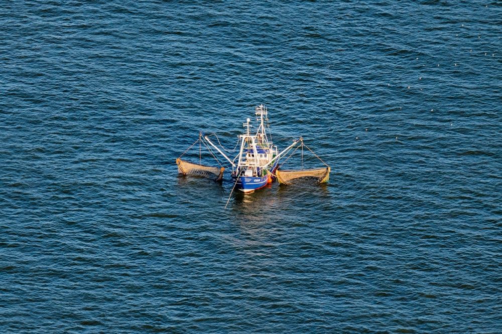 Aerial photograph Nigehörn - Crab cutter CUX 16 in motion on the North Sea off Cuxhaven in the state of Schleswig-Holstein