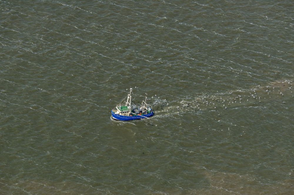 Büsum from above - Shrimp boat on the way of North Sea in Buesum in the state Schleswig-Holstein
