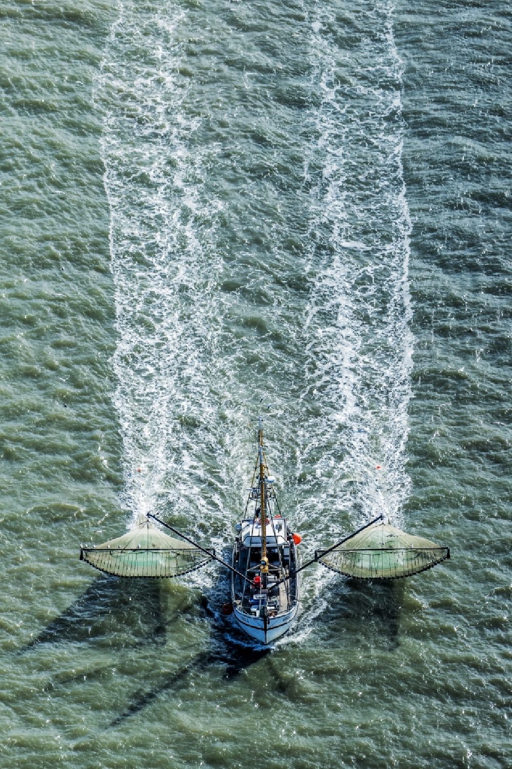 Aerial photograph Büsum - Shrimp boat on the way of North Sea in Buesum in the state Schleswig-Holstein
