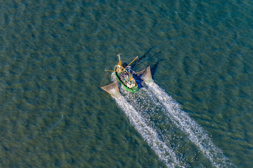 Aerial image Norderney - Shrimp cutter in motion on the North Sea off Norderney Nordstrom Norddeich in the state of Lower Saxony
