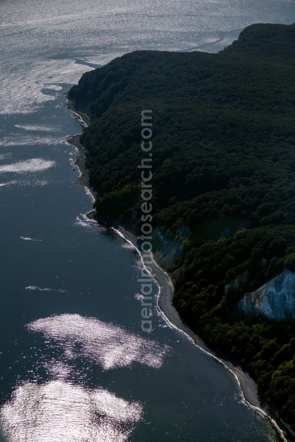 Aerial image Stubbenkammer - Wooded chalk cliffs and cliff landscape in the Jasmund National Park on the cliffs on the Baltic Sea in Stubbenkammer on the island of Ruegen in the state Mecklenburg-West Pomerania, Germany