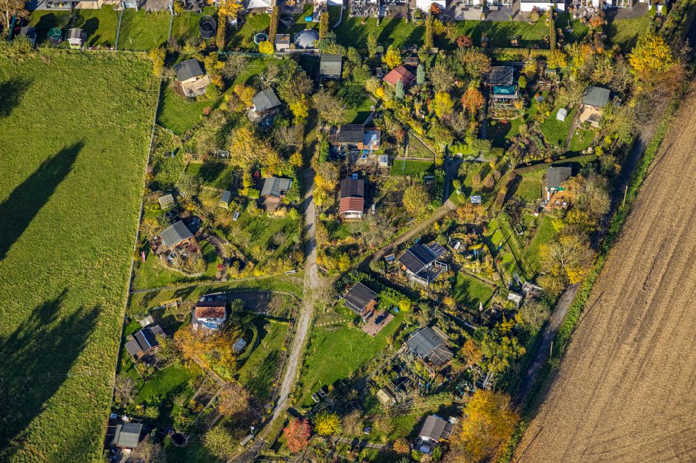 Aerial photograph Witten - Allotments gardens plots of the association - the garden colony of Kleingartenverein Am Heuweg e.V. in Witten in the state North Rhine-Westphalia, Germany