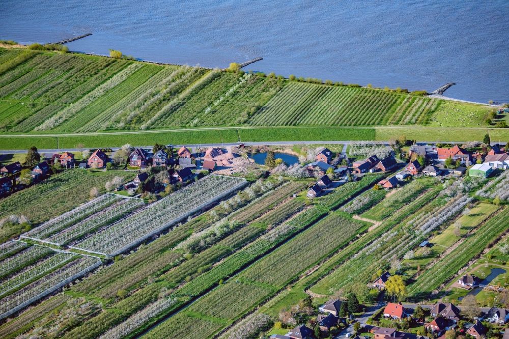 Grünendeich from above - Coastline with dike protection strips in Gruenendeich in the state Lower Saxony, Germany