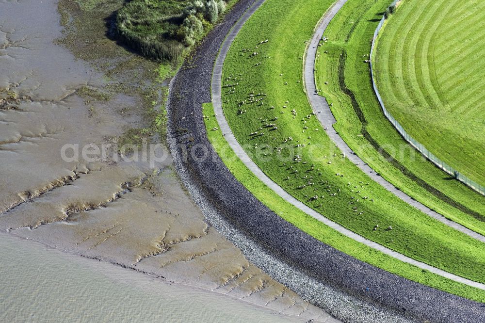 Aerial image Jork - Coastline with dike protection strips in Jork Old Land in the state Lower Saxony, Germany