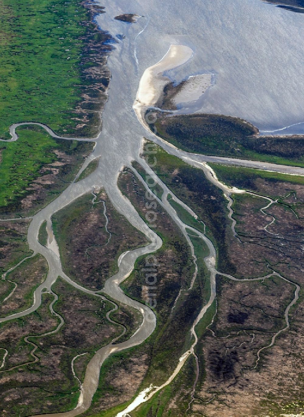 Aerial photograph Sankt Peter-Ording - Coasts scenery between dyke and sandy beach in the district Saint Peter's bath in Saint Peter-Ording in the federal state Schleswig-Holstein