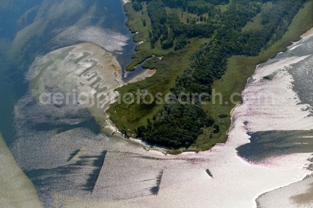 Aerial image Insel Bock - Coastal area of a??a??the island of Bock on the Baltic Sea coast in the state of Mecklenburg-West Pomerania, Germany