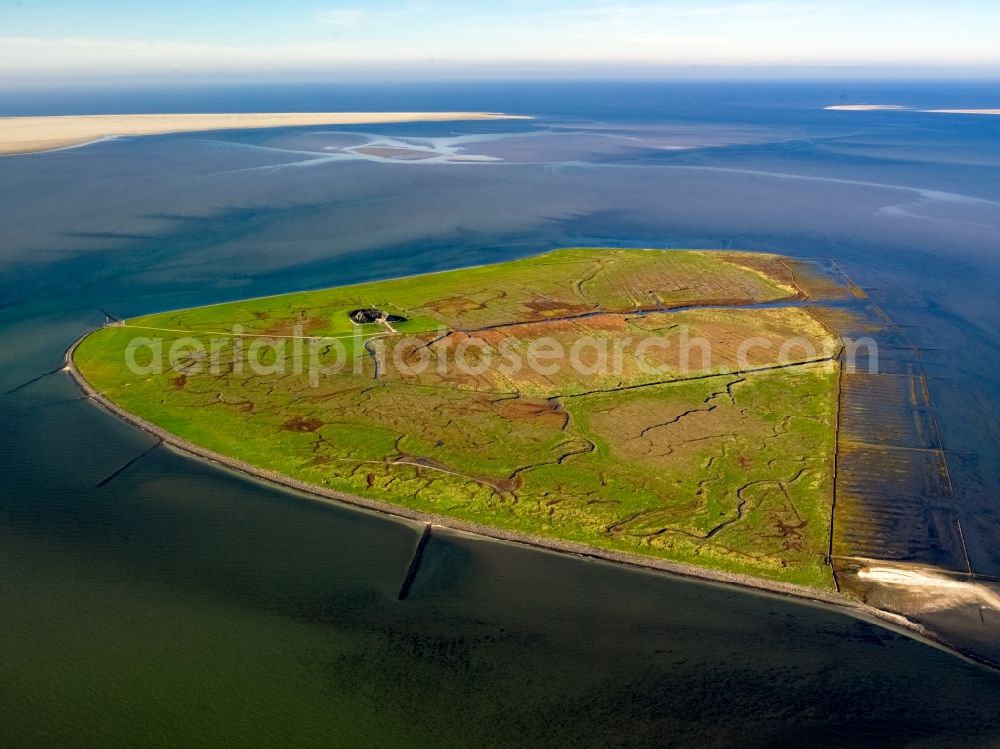 Süderoog from the bird's eye view: Coastal area of a??a??the North Sea - Hallig Suederoog in the Wadden Sea in the state Schleswig-Holstein, Germany