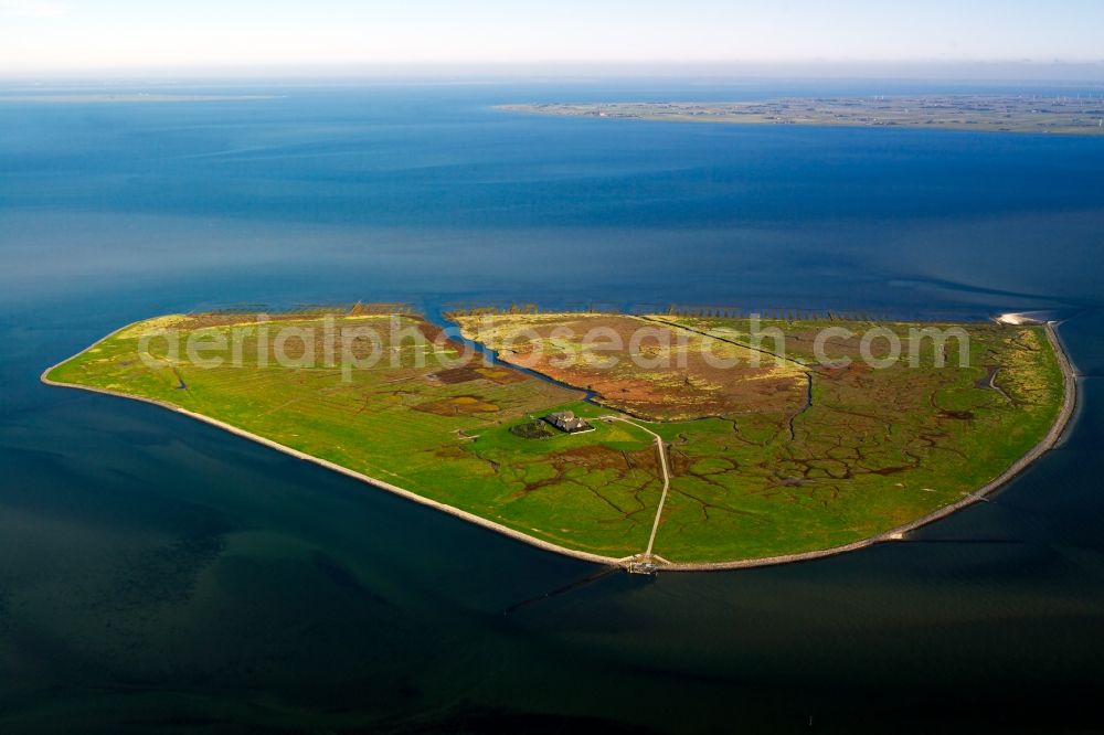 Aerial image Süderoog - Coastal area of a??a??the North Sea - Hallig Suederoog in the Wadden Sea in the state Schleswig-Holstein, Germany
