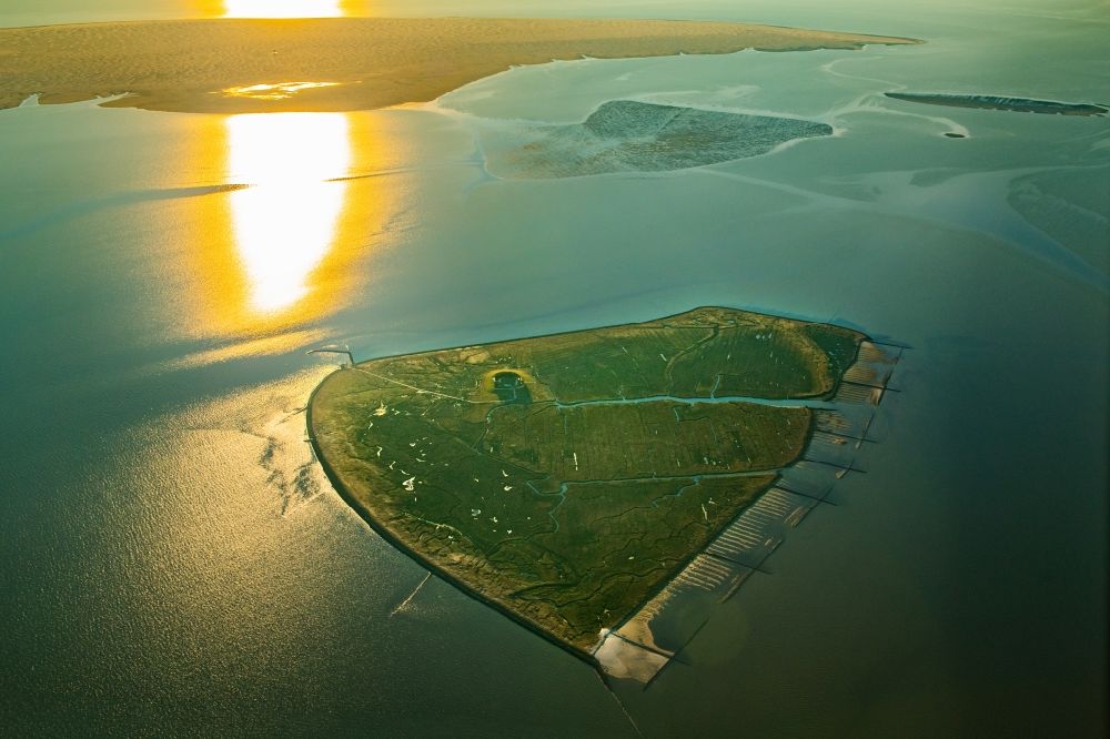 Aerial photograph Pellworm - Coastal area of a??a??the North Sea - Hallig Suederoog in the Wadden Sea in the state Schleswig-Holstein, Germany