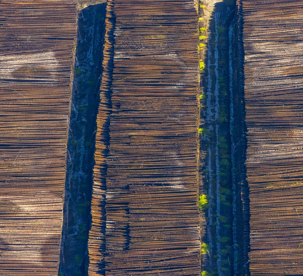 Aerial photograph Rönkhausen - Storage area and wood storage area for felled tree trunks as a raw material for the wood industry in the industrial area on the street Lindenallee in Roenkhausen in the state North Rhine-Westphalia, Germany
