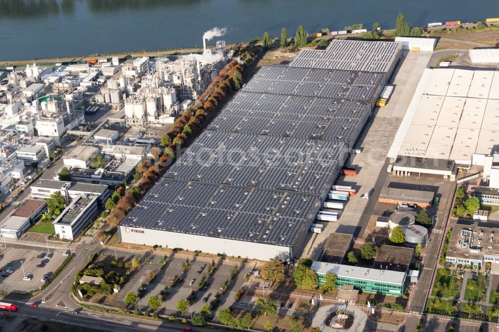 Aerial photograph Worms - Warehouses and forwarding building of Fiege Logistik Stiftung & Co. KG - Zweignieoflassung VDC Worms in Worms in the state Rhineland-Palatinate, Germany