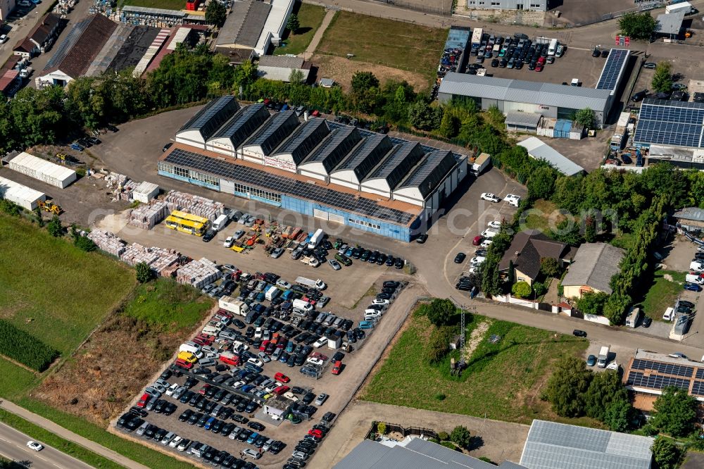 Ettenheim from the bird's eye view: Warehouse complex-building in the industrial area in Ettenheim in the state Baden-Wuerttemberg, Germany