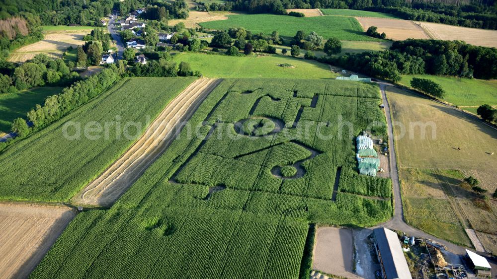 Aerial photograph Königswinter - Butcher's shop Klein with corn field and maze in Koenigswinter in the state North Rhine-Westphalia, Germany