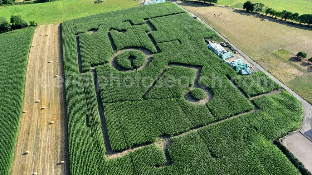 Königswinter from above - Butcher's shop Klein with corn field and maze in Koenigswinter in the state North Rhine-Westphalia, Germany