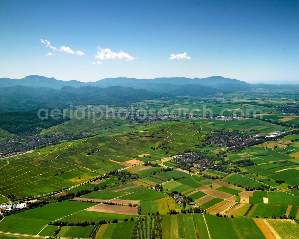 Aerial photograph Schallstadt - Landscape at the Wolfenweiler part of Schallstadt in the state of Baden-Wuerttemberg. The landscape is characterised by fields and agriculture. The moutain ranges of the Alps are visible in the background. View from Wolfenweiler to the South-East