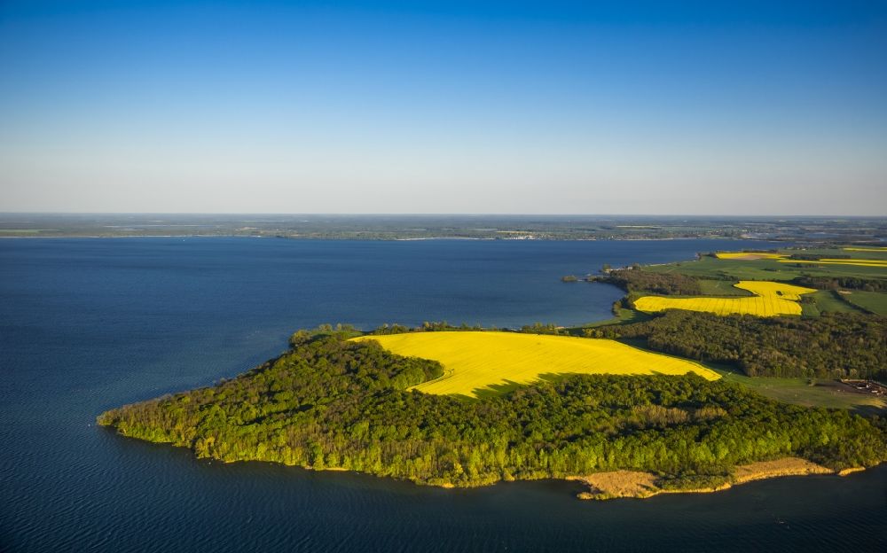 Aerial image Ludorf - A landscape with yellow flowering fields on Lake Mueritz in Ludorf in Mecklenburg - Western Pomerania