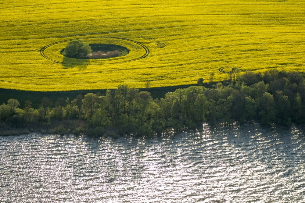 Ludorf from above - A landscape with yellow flowering fields on Lake Mueritz in Ludorf in Mecklenburg - Western Pomerania