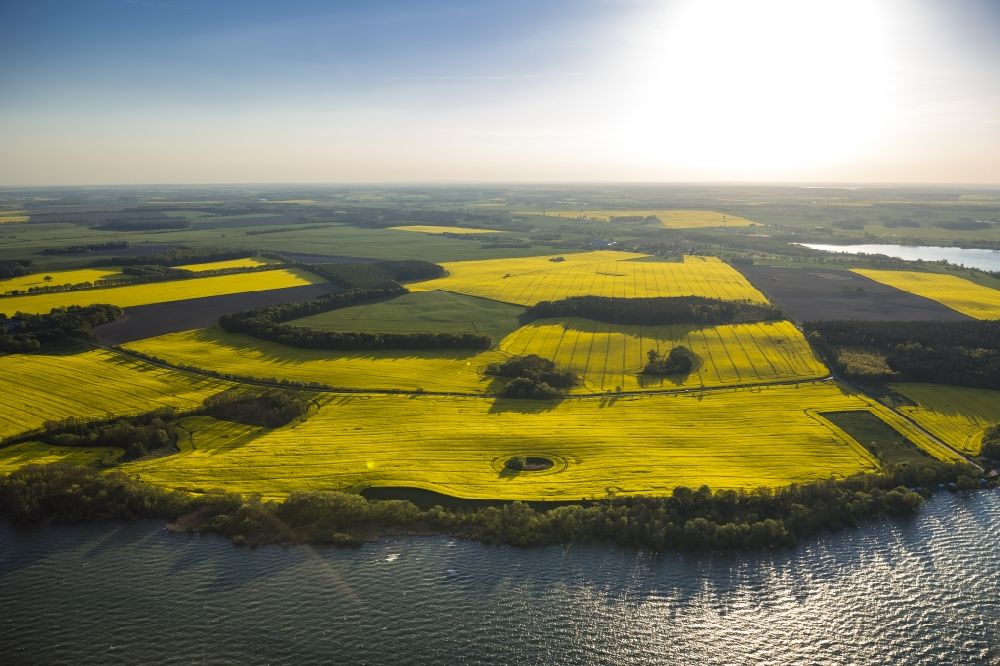 Ludorf from the bird's eye view: A landscape with yellow flowering fields on Lake Mueritz in Ludorf in Mecklenburg - Western Pomerania