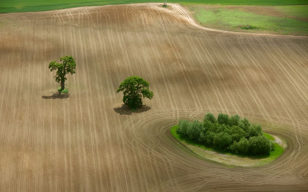 Ludorf from the bird's eye view: Landscape plowed fields with island-shaped tree and shrub vegetation in Ludorf in Mecklenburg - West Pomerania