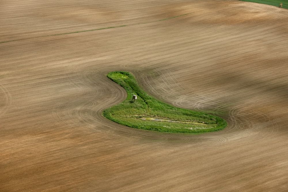 Aerial photograph Ludorf - Landscape plowed fields with island-shaped tree and shrub vegetation in Ludorf in Mecklenburg - West Pomerania