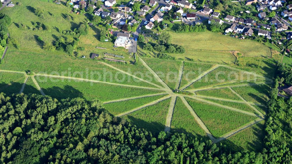 Sankt Katharinen (Landkreis Neuwied) from the bird's eye view: Agricultural area with hunting aisles in the state Rhineland-Palatinate, Germany