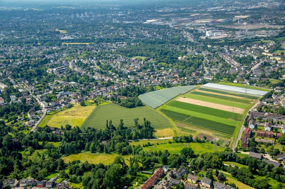 Aerial photograph Essen - Agricultural fields between Fintrop and Duempten in Essen in North Rhine-Westphalia