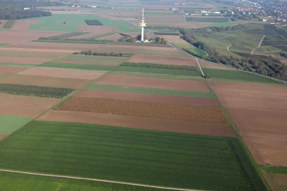 Aerial image Essenheim - Agricultural area and telecommunications tower at Essenheim in Rhineland-Palatinate
