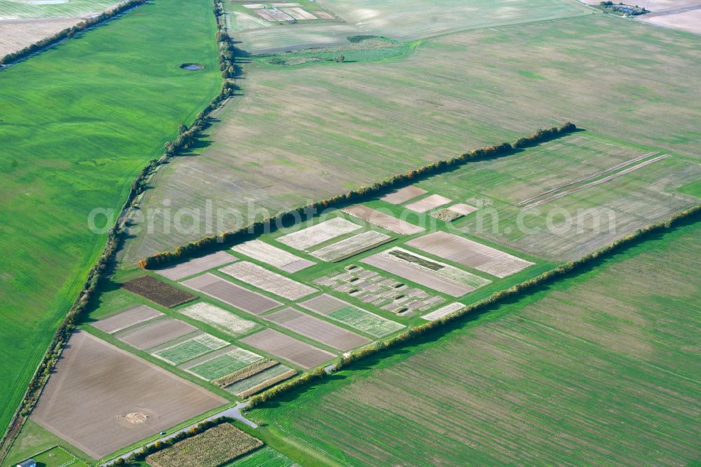 Prenzlau from the bird's eye view: Agricultural test areas of the research station agriculture site Dedelow (FSL) in Prenzlau in the state Brandenburg, Germany