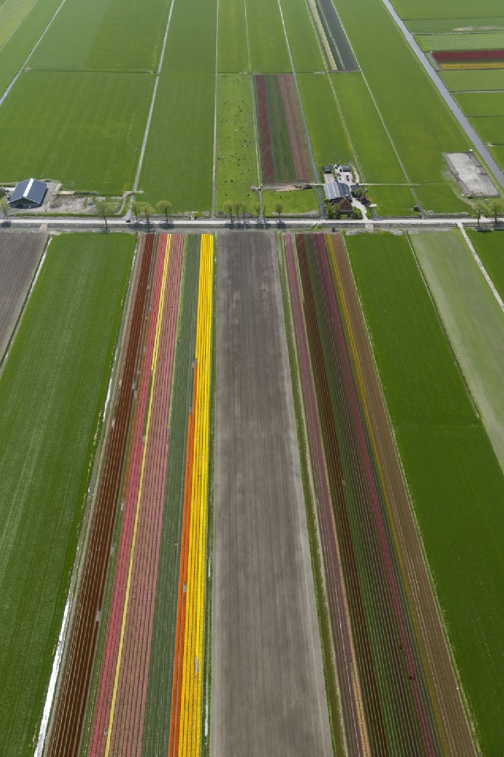 Aerial image Noordbeemster - Agriculture - Landscape with fields of tulips to flower production in Noordbeemster in North Holland Holland / Netherlands