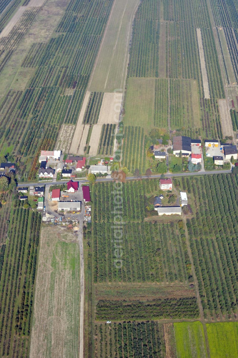 Aerial photograph Polkowice / Polkwitz - Farm houses near Polkowice in Poland