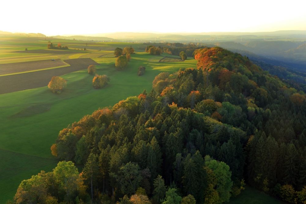 Aerial image Blumberg - Treetops in a forest area at sunset in the district Ueberachen in Blumberg in the state Baden-Wurttemberg, Germany