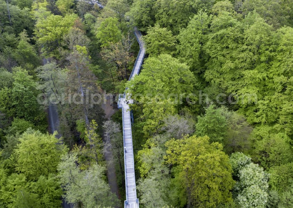 Aerial image Bad Harzburg - Treetops in a forest area on the treetop path in Bad Harzburg in the state Lower Saxony, Germany