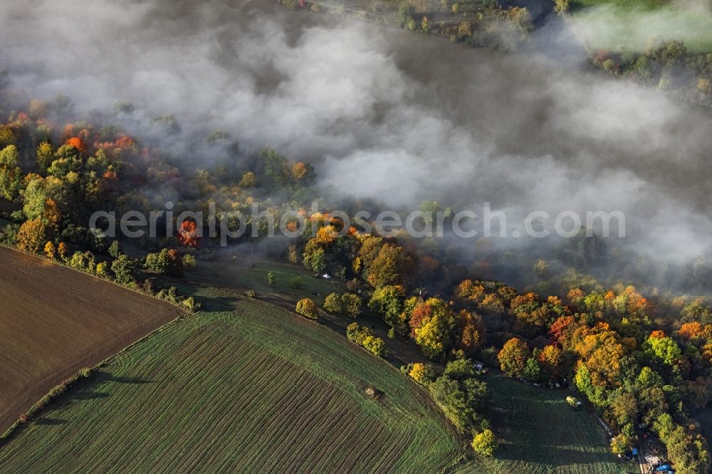Aerial photograph Pentling - Treetops in a forest area bei aufsteigendem Nebel and Wolken in Pentling in the state Bavaria, Germany