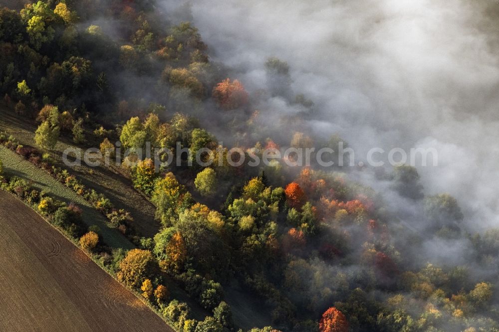Pentling from above - Treetops in a forest area bei aufsteigendem Nebel and Wolken in Pentling in the state Bavaria, Germany