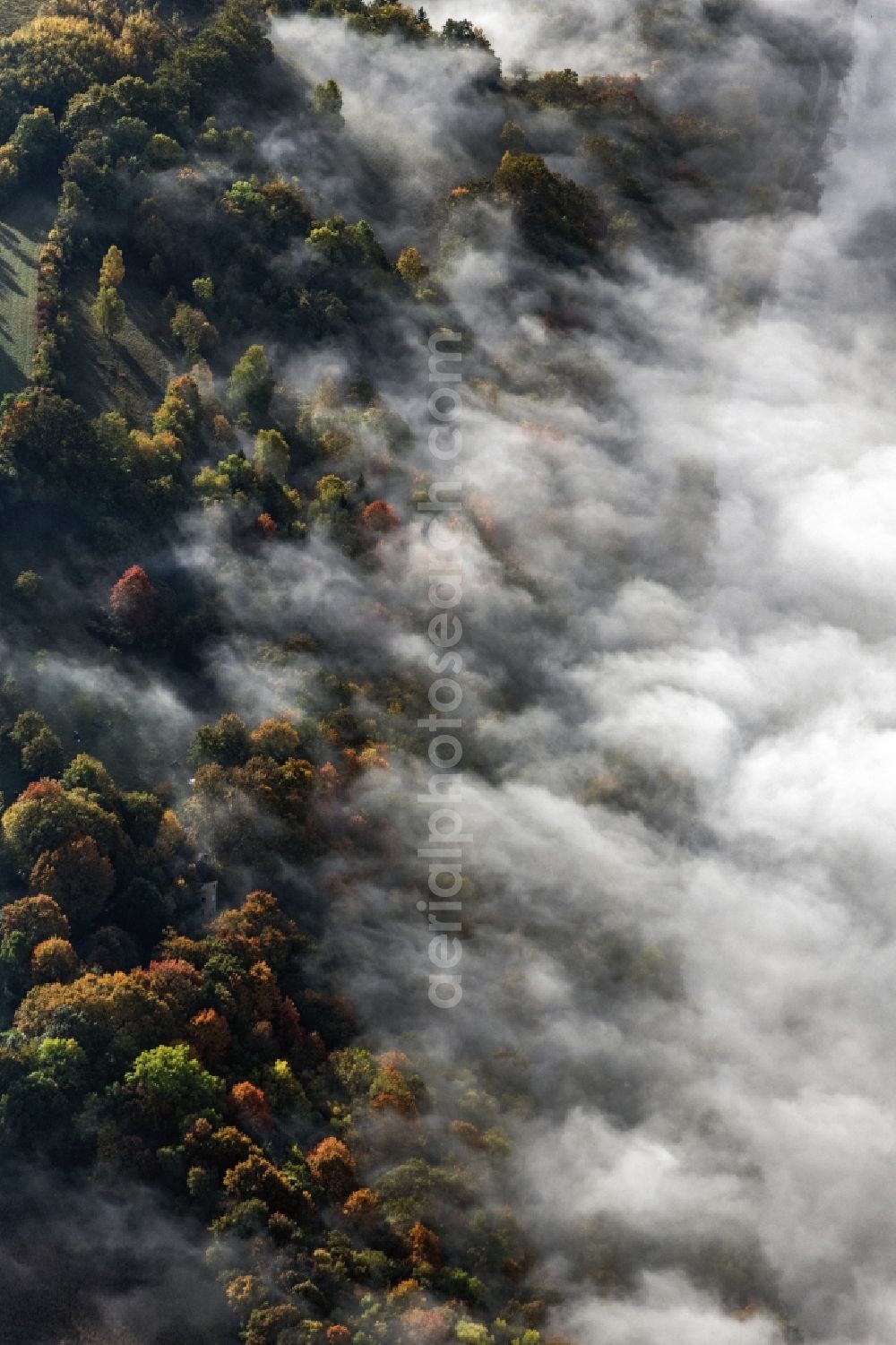 Pentling from the bird's eye view: Treetops in a forest area bei aufsteigendem Nebel and Wolken in Pentling in the state Bavaria, Germany