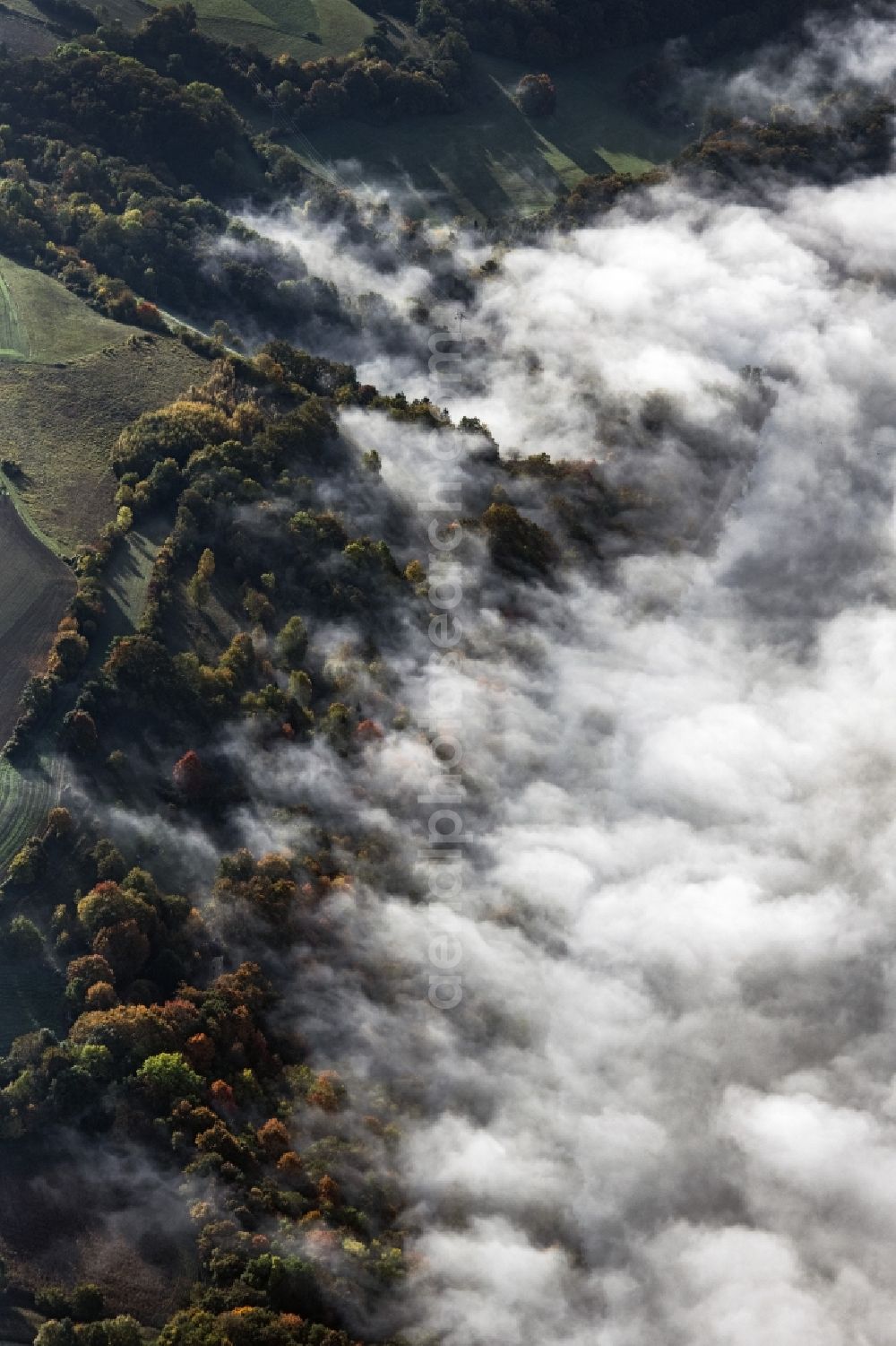 Aerial image Pentling - Treetops in a forest area bei aufsteigendem Nebel and Wolken in Pentling in the state Bavaria, Germany