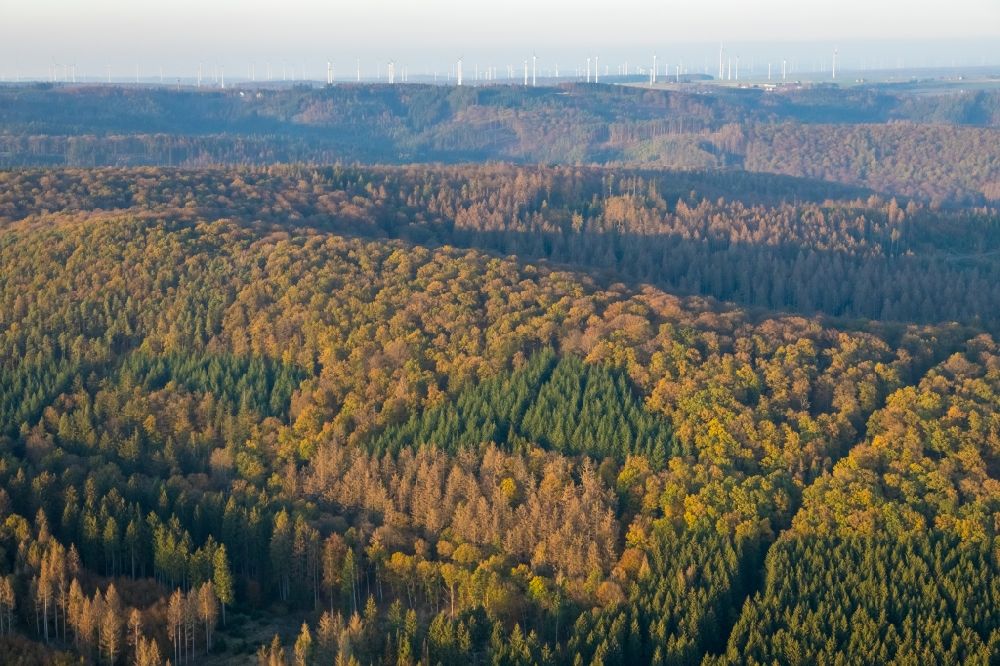 Marsberg from the bird's eye view: Treetops in a forest area of Forst Bredelar/Obermarsberger Wald in Marsberg in the state North Rhine-Westphalia, Germany