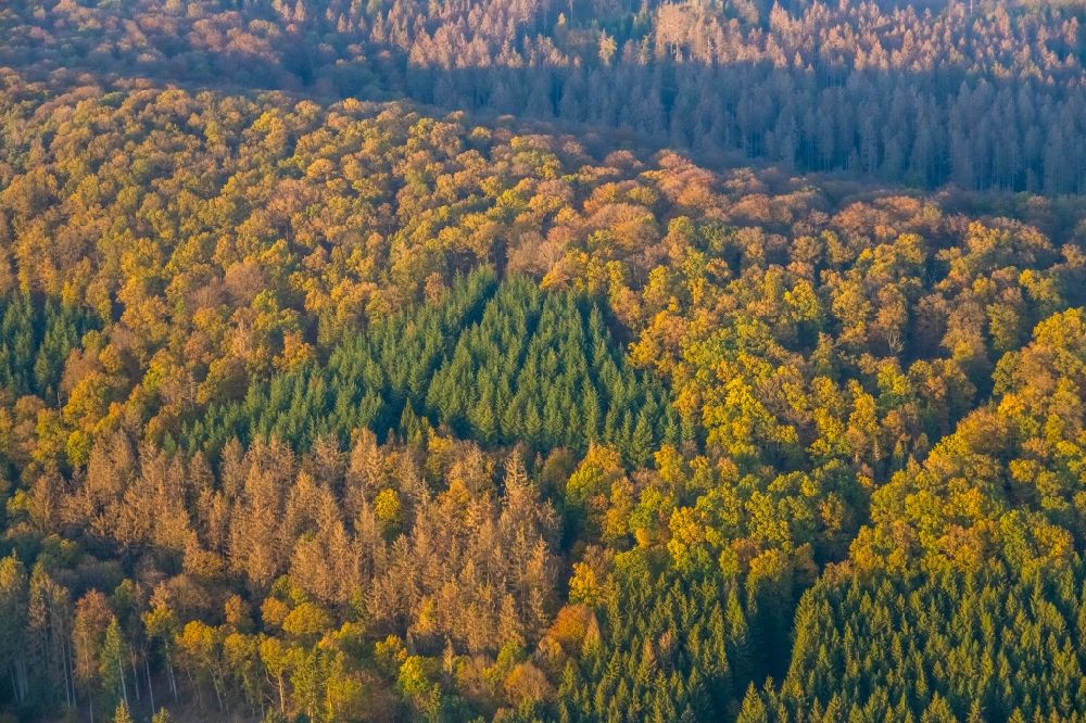 Aerial image Marsberg - Treetops in a forest area of Forst Bredelar/Obermarsberger Wald in Marsberg in the state North Rhine-Westphalia, Germany