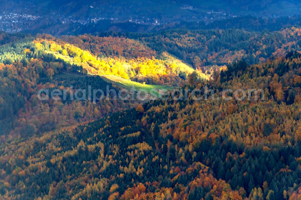 Aerial photograph Friesenheim - Treetops in a forest area in Schwarzwald Sonnenbestrahlt in Friesenheim in the state Baden-Wuerttemberg, Germany