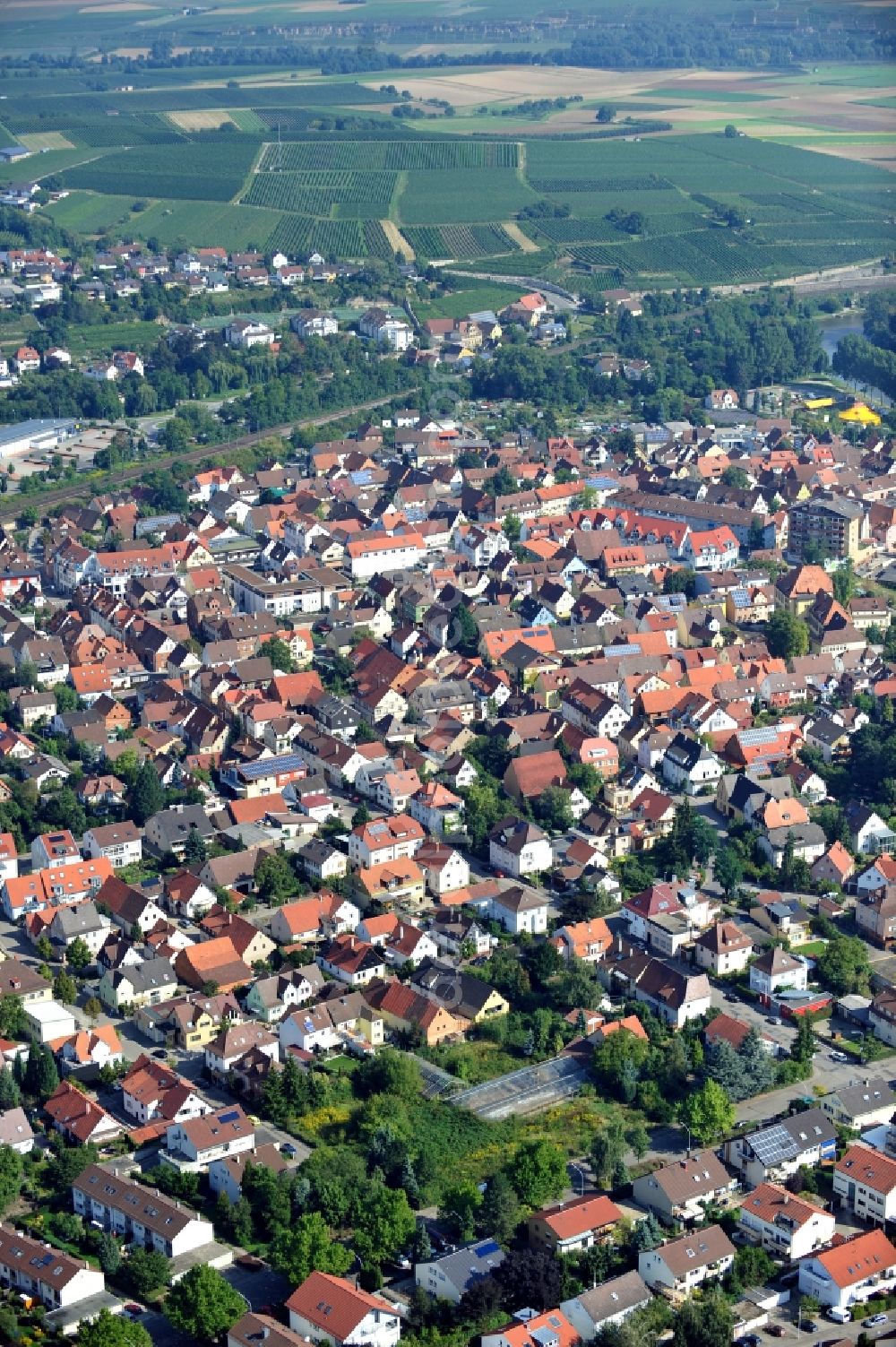 Lauffen am Neckar from the bird's eye view: City view of Lauffen am Neckar in Baden-Wuerttemberg