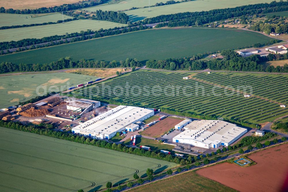 Aerial photograph Wallhausen - Buildings and production halls on the food manufacturer's premises Pilzhof Pilzsubstrat Wallhausen GmbH vor dem Solarfeld Wallhausen on street Muehlgebreite in Wallhausen in the state Saxony-Anhalt, Germany