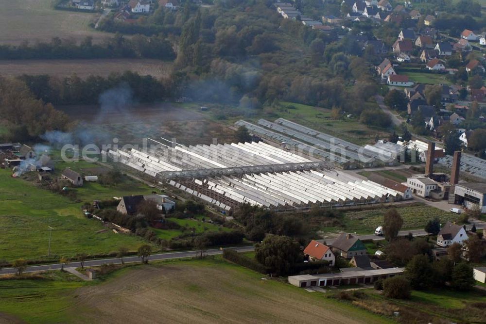 Aerial photograph Trinwillershagen - Blick auf das Gebiet der ehemaligen landwirtschaftlichen Produktionsgenossenschaft (LPG) Rotes Banner in Trinwillershagen. Hier empfing am 13. Juli 2006 Kanzlerin Angela Merkel den amerikanischen Präsidenten George W. Bush.