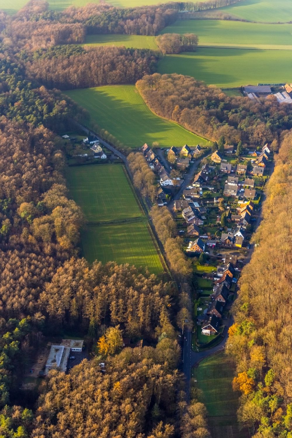 Haltern am See from above - Aerial view of a forest settlement Holtwicker Strasse in the district Holtwick in Haltern am See in the Ruhr area in North Rhine-Westphalia, Germany