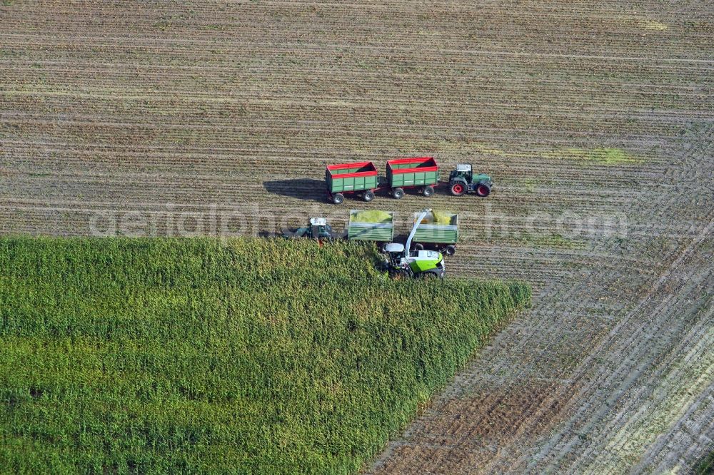 Döhren from above - Maize harvest on a farm in Doehren in the state Saxony-Anhalt, Germany